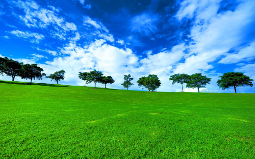 474031 (a): :1920x1200